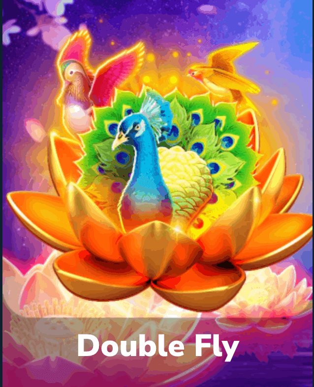 Double Fly